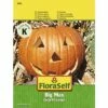 Kürbis 'Big Max' FloraSelf Samenfestes Saatgut Gemüsesamen -Hornbach Gartenmarkt DV 8 7120915 01 4c AT 20221213154651
