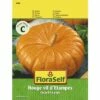 Kürbis 'Rouge Vif D'Etampes' FloraSelf Samenfestes Saatgut Gemüsesamen -Hornbach Gartenmarkt DV 8 7120917 01 4c AT 20221213154651