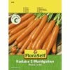 Möhre 'Naintaise 2 / Marktgärtner' FloraSelf Samenfestes Saatgut Gemüsesamen -Hornbach Gartenmarkt DV 8 7120940 01 4c AT 20221213154651
