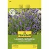 Lavendel 'Mehrjährig' FloraSelf Samenfestes Saatgut Kräutersamen -Hornbach Gartenmarkt DV 8 7120971 01 4c AT 20230104141756
