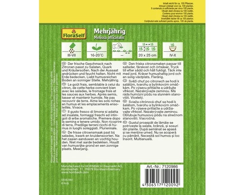 Zitronenmelisse FloraSelf Samenfestes Saatgut Kräutersamen 4 Zitronenmelisse FloraSelf Samenfestes Saatgut Kräutersamen – Bild 2