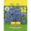 Kornblume 'Blauer Junge' FloraSelf Samenfestes Saatgut Blumensamen -Hornbach Gartenmarkt DV 8 7122892 01 4c AT 20230104141756