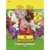 Edelwicke 'Mix' FloraSelf Samenfestes Saatgut Blumensamen -Hornbach Gartenmarkt DV 8 7122927 01 4c AT 20230104141756