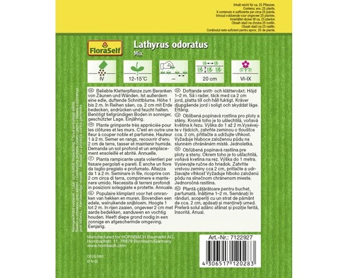 Edelwicke 'Mix' FloraSelf Samenfestes Saatgut Blumensamen 4 Edelwicke 'Mix' FloraSelf Samenfestes Saatgut Blumensamen – Bild 2