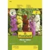 Stockrose 'Mix' FloraSelf Samenfestes Saatgut Blumensamen -Hornbach Gartenmarkt DV 8 7122981 01 4c AT 20230104141756