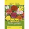 Landnelken 'Mix' FloraSelf Samenfestes Saatgut Blumensamen -Hornbach Gartenmarkt DV 8 7122993 01 4c AT 20180105105222
