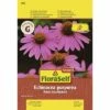 Sonnenhut 'Roter Leuchtstern' FloraSelfSelect Samenfestes Saatgut Blumensamen -Hornbach Gartenmarkt DV 8 7122995 01 4c AT 20180105104125