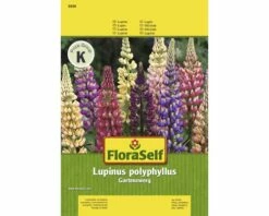 Lupine 'Gartenzwerg' FloraSelf Samenfestes Saatgut Blumensamen