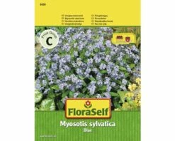 Vergissmeinnicht 'Blue' FloraSelf Blumensamen