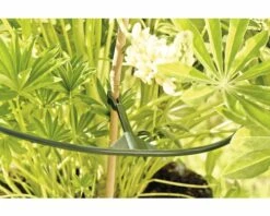 Staudenhalter FloraSelf Kunststoff Vario Ø 40 Cm 3 Stk -Hornbach Gartenmarkt DV 8 7531924 04 4c DE 20181217203649