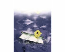 Bindedraht FloraSelf Metall Verzinkt Ø 2,0 Mm 50 M 9 Bindedraht FloraSelf Metall Verzinkt Ø 2,0 Mm 50 M -Hornbach Gartenmarkt DV 8 7531940 01 4c DE 20160421105711