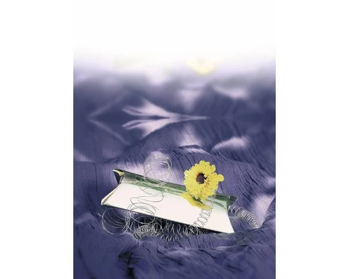 Bindedraht FloraSelf Metall Verzinkt Ø 2,0 Mm 50 M 6 Bindedraht FloraSelf Metall Verzinkt Ø 2,0 Mm 50 M – Bild 4