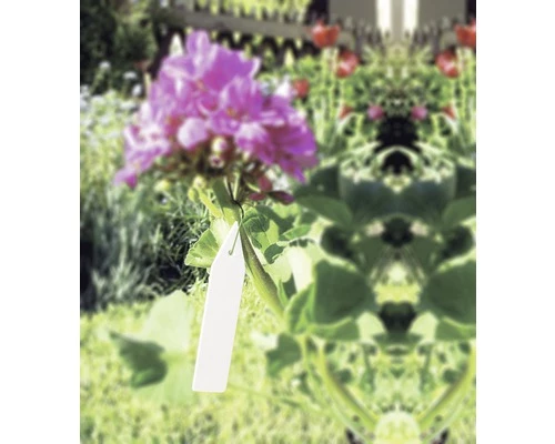 Pflanzenschilder FloraSelf Kunststoff 25 Stk 5 Pflanzenschilder FloraSelf Kunststoff 25 Stk – Bild 3