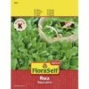 Rauke 'Ruca' FloraSelf Select Samenfestes Saatgut Salatsamen -Hornbach Gartenmarkt DV 8 8074155 04 4c AT 20180405120358
