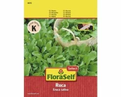 Rauke 'Ruca' FloraSelf Select Samenfestes Saatgut Salatsamen