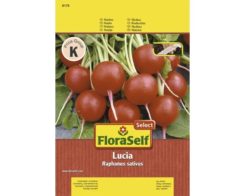 Radieschen 'Lucia' FloraSelf Select F1 Hybride Gemüsesamen 3 Radieschen 'Lucia' FloraSelf Select F1 Hybride Gemüsesamen