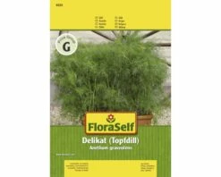 Dill 'Delikat' FloraSelf Samenfestes Saatgut Kräutersamen