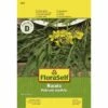 Rucola 'Wilde Rauke' FloraSelf Samenfestes Saatgut Salatsamen -Hornbach Gartenmarkt DV 8 8074206 01 4c AT 20230104141756