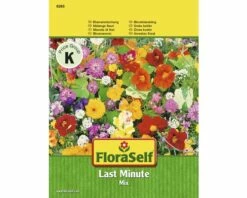 Blumensamenmix FloraSelf Schnellwüchsig 'Last Minute' Samenfestes Saatgut