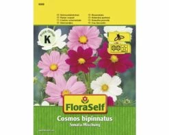 Schmuckkörbchen 'Sonata Mischung' FloraSelf Samenfestes Saatgut Blumensamen