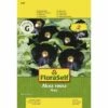 Stockrose 'Nigra' FloraSelf Samenfestes Saatgut Blumensamen -Hornbach Gartenmarkt DV 8 8074230 01 4c AT 20180105105002