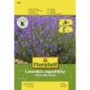 Lavendel 'Hidcote Blue Strain' FloraSelf Samenfestes Saatgut Blumensamen -Hornbach Gartenmarkt DV 8 8074231 01 4c AT 20180105102556