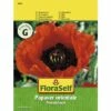 Riesenmohn 'Olympiafeuer' FloraSelf Samenfestes Saatgut Blumensamen -Hornbach Gartenmarkt DV 8 8074232 01 4c AT 20190411093701