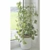 Blumenstütze FloraSelf 24 X H 44 Cm, Silber -Hornbach Gartenmarkt DV 8 8410867 01 4c DE 20150107180758 1