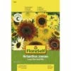 Sonnenblume 'Large Flowered Mix' FloraSelf Samenfestes Saatgut Blumensamen -Hornbach Gartenmarkt DV 8 8488973 01 4c AT 20180105104408