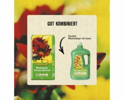 Blumenerde FloraSelf 20 L -Hornbach Gartenmarkt DV 8 8493628 10 4c AT 20220728161658