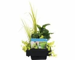 Teichpflanzen Set Für Miniteich FloraSelf 18x18 Cm Korb Inkl. Treibring -Hornbach Gartenmarkt DV 8 8566663 03 4c DE 20210706104758