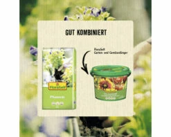 Pflanzerde FloraSelf 60 L -Hornbach Gartenmarkt DV 8 8705830 03 4c AT 20220804104752