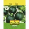 Zucchini 'Satelite' FloraSelf F1 Hybride Gemüsesamen -Hornbach Gartenmarkt DV 8 8872801 01 4c AT 20190411092847