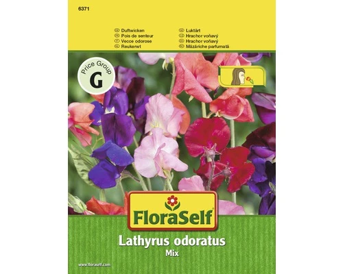Duftwicken 'Mix' FloraSelf Samenfestes Saatgut Blumensamen 3 Duftwicken 'Mix' FloraSelf Samenfestes Saatgut Blumensamen