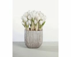 Krokus FloraSelf Crocus Vernus 'Remembrance' Ø 12 Cm Topf
