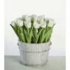 Tulpe FloraSelf Tulipa X Hybride 'Calgary' Ø 12 Cm Topf -Hornbach Gartenmarkt DV 8 8875868 03 4c DE 20170309111852