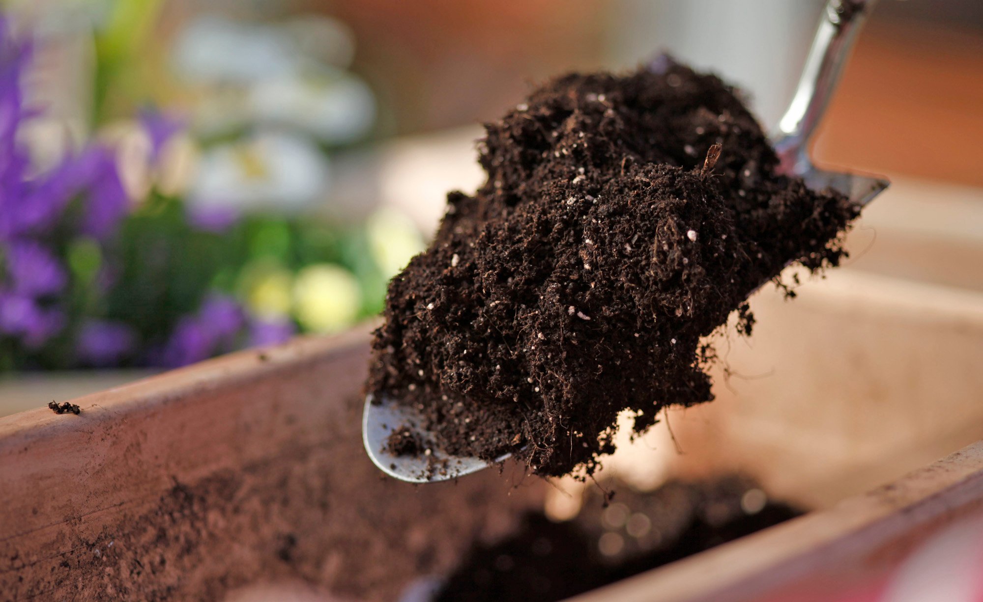 Hornbach Gartenmarkt -Hornbach Gartenmarkt blumenerde 1450399 blp msg